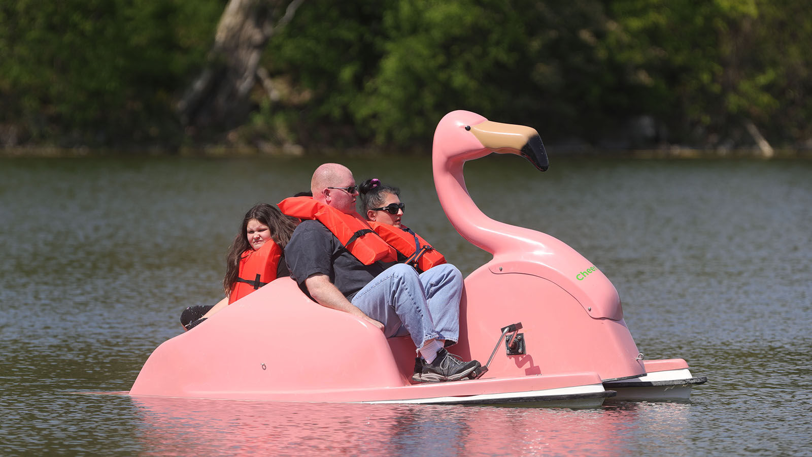 Hoyt Lake Floatmingo paddle boats (copy)